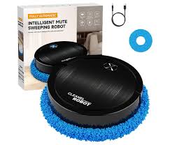 Intelligence Cleaning Robot